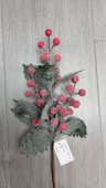 Crenguta ninsa cu bobite rosii si frunze de ilex