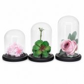 Cupole Sticla Suport Lemn Negru diam. 10cm