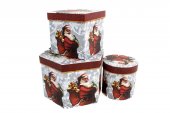 Cutii Carton Cu Mos Forme Diferite 3/Set