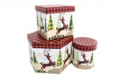 Cutii Carton Cu Reni Forme Diferite 3/Set