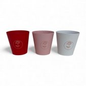 Cutii Din Carton Tip Ghiveci Rotund