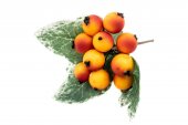 Decoratiune Craciun Crenguta Macese Portocalii Cu Frunze 12/Set