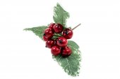 Decoratiune Craciun Crenguta Macese Rosii Cu Frunze 12/Set