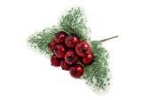 Decoratiune Craciun Crenguta Macese Rosii Cu Frunze 12/Set