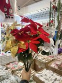 Buchet cu 5 flori de Craciun