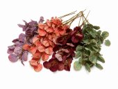 Eucalipt Artificial Buchet 84cm