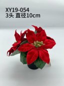 Floare de Craciun in ghiveci negru 10x15 cm