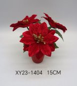 Floare de Craciun rosie in ghiveci 15 cm