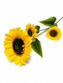 Floarea Soarelui Artificiala 3 flori