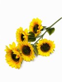 Floarea Soarelui Artificiala 5 flori