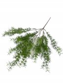 Flori Artificiale Asparagus Din Silicon