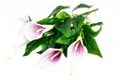 Flori Artificiale Buchet 5 Cale Lila