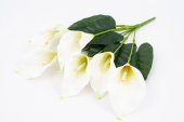 Flori Artificiale Buchet 7 Cale Alb
