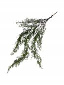 Flori Artificiale Buchet Asparagus Curgator