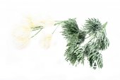 Flori Artificiale Buchet Ciulini Prafuiti