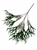 Flori Artificiale Buchet Coarne de Cerb