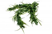 Flori Artificiale Buchet Cu Amestec De Frunze De Eucalipt Si Iarba