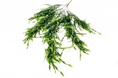 Flori Artificiale Buchet Cu Amestec De Frunze De Iarba Si Mini Feriga