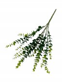 Flori Artificiale Buchet Dischidia
