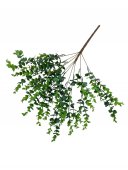 Flori Artificiale Buchet Dischidia Nummularia