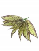 Flori Artificiale Buchet Frunza Alb Cu Mov