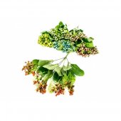 Flori Artificiale Buchet Frunze Cu Bobite Mari
