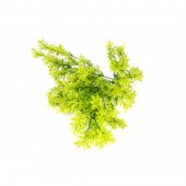 Flori Artificiale Buchet Frunze Verde Deschis