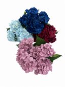 Flori Artificiale Buchet Hortensie