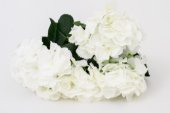 Flori Artificiale Buchet Hortensie 5 Flori Alb