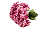 Flori Artificiale Buchet Hortensie 5 Flori Violet
