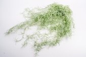 Flori Artificiale Buchet Iarba Creata Verde Cu Alb