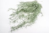 Flori Artificiale Buchet Iarba Creata Verde Prafuit