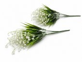 Flori Artificiale Buchet Lacramioare 2/set