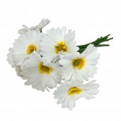 Flori Artificiale Buchet Margarete Siliconate 10/Set