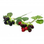 Flori Artificiale Buchet Mure