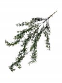 Flori Artificiale Buchet Rozmarin Curgator