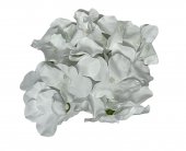 Flori Artificiale Capete Hortensie 16cm 30/set Alb