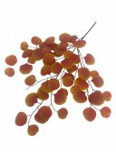 Flori Artificiale Creanga Eucalipt Frunze Rotunde Caramiziu
