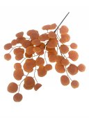 Flori Artificiale Creanga Eucalipt Frunze Rotunde Caramiziu Deschis