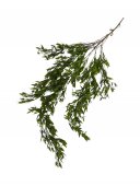 Flori Artificiale Curgatoare Buchet Frunze De Maslin Cu Muguri