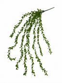 Flori Artificiale Curgatoare Dischidia