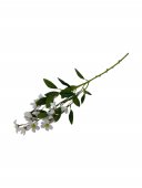 Flori Artificiale Decorative Cu Flori Albe Tip Mar
