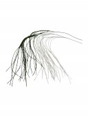Flori Artificiale Din Plastic Curgator Amaranthus