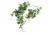 Flori Artificiale Eucalipt Buchet Curgator 5 Crengute