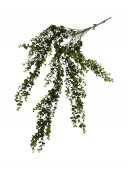 Flori Artificiale Eucalipt Curgator Cu Radacini