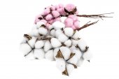 Flori Artificiale Floare De Bumbac 10/Set