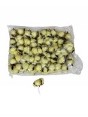 Flori Artificiale Flori Bumbac 50/set Crem si Galben