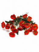 Flori Artificiale Maci
