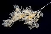 Flori Artificiale Marar Creanga Somon