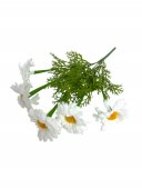 Flori Artificiale Margarete Model 002
